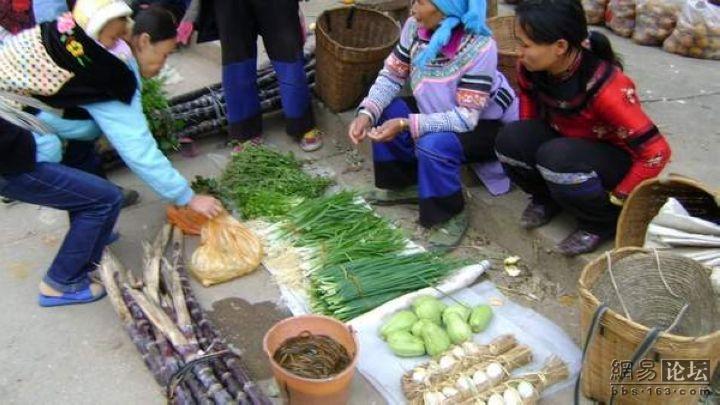 W(wng)ьģˬ˵ʳˬD - hanwa - `ļ҈@