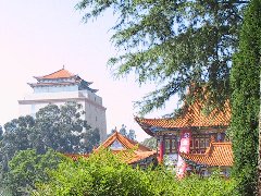 2013ɽ P(gun)(i)Є(dng)